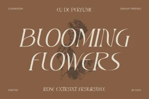 CS Roastery – Elegant Font