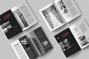 Damelan Case Study Booklet