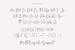 Danilla – Signature Script Font