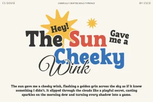 Dovie – Retro Font