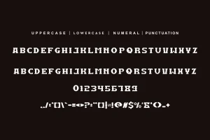 Dragon Western – Vintage & Typeface Font