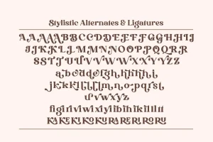 Drigha – Stylish Retro Serif Font