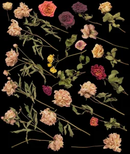 Dry Flowers