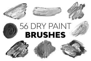 Dry Paint Brushes