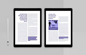 Ebook