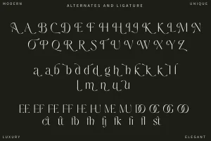 Elegant Sans Serif Font