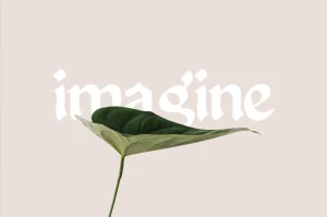 Enchant – Mystical 1600s Typeface