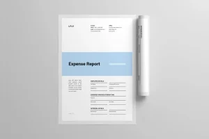 Expense Report
