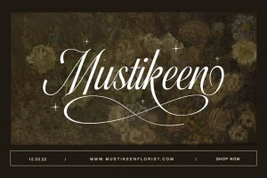 Fairyfiesta – Classic Elegant Copperplate Script