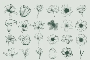 Fiore  – Procreate Stamp Brush
