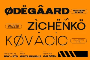 Galdern – Modern Tech Logo Geometric