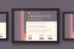 Geometric Certificate Template V3