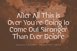 Glosary – Unique Contrast Geometric Serif