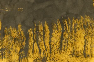 Golden Ink Backgrounds 7