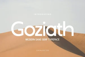 Goziath Modern Sans Serif Font
