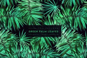 Green Palm Leaves