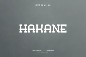 Hakane – Vintage Font