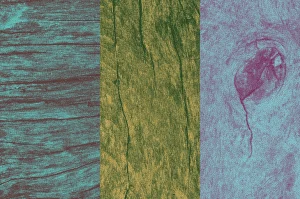Halftone Texture Batch No 01