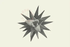 Halftone Vector Succulents