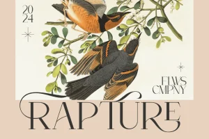 Heverly – Luxury Serif Alternate Font