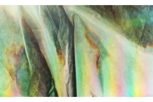 Holographic Papers Vol.5