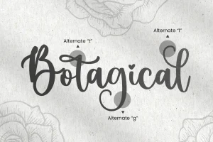 Honeymoon – Wedding Font