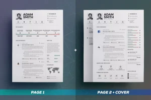 Infographic Resume/Cv Volume 9