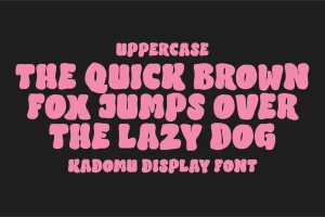 Kadomu – Cute Display Font