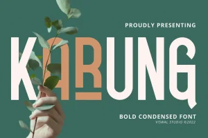 Karung – Modern Font