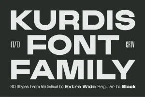 Kurdis Geometric Sans Family (30 Styles)