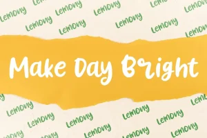 Lemony Fun Business Font