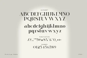 Lugife Modern Elegant Serif Font Typeface