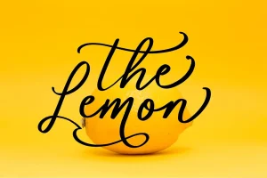Maeghan Calligraphy Font