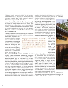 Magazine Layout