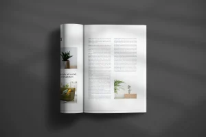 Magazine Layout