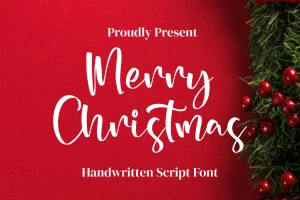 Merry Christmas