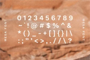Mesa + Mesa Bold