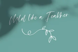 Mildlight Feminine Signature Font