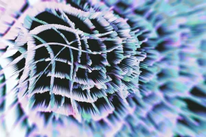 Modern Abstract Backgrounds Vol. 02