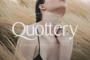 Modern Sans Serif Font