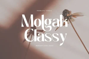 Molgak Classy – Wedding Font