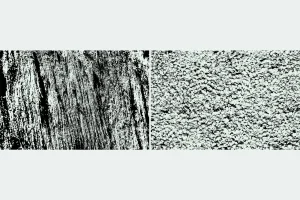 Moss Textures
