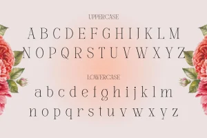 Mounchera – Art Deco Serif