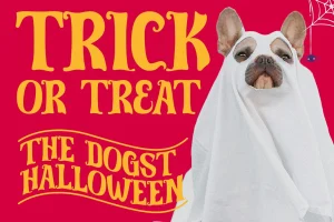Muffliato – Halloween Display Font