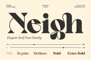 Neigh – Modern Luxury Logo Font