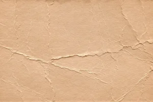 Old & Grunge Paper Textures