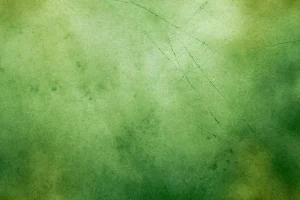 Old Green Aged Paper