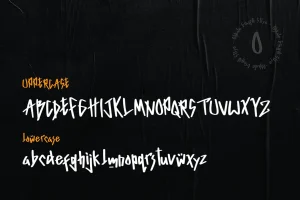 Olskate – Graffiti Display