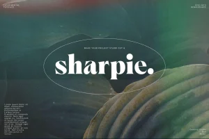Ornable – Ornate Ornamental Type Art Deco Splendor