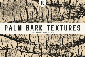 Palm Bark Textures
